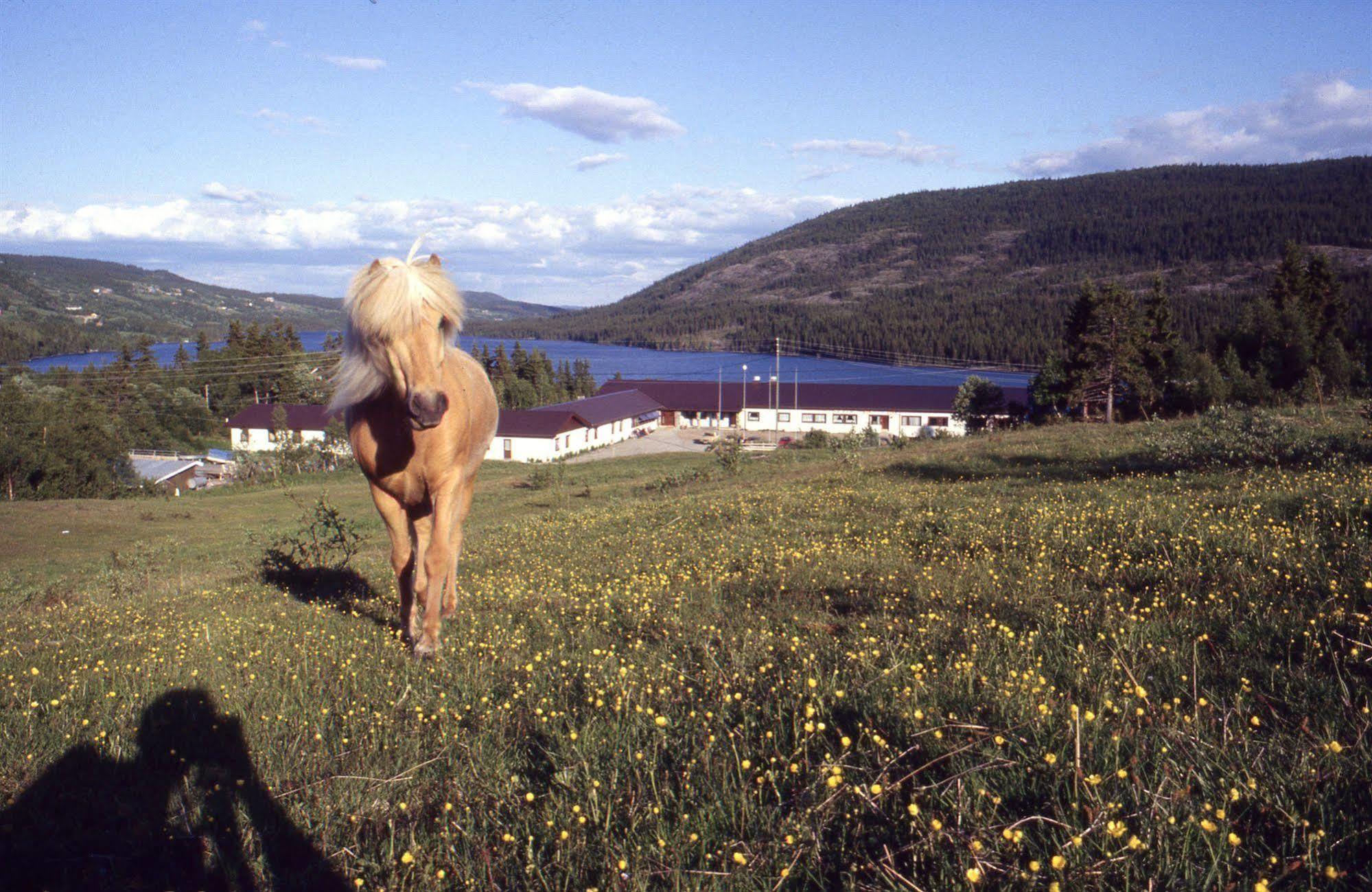 Valdres Hoyfjellshotell Steinsetbygdi ภายนอก รูปภาพ